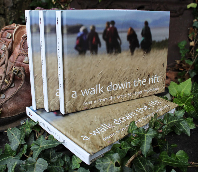 Photograph of A Walk Down the Rift books